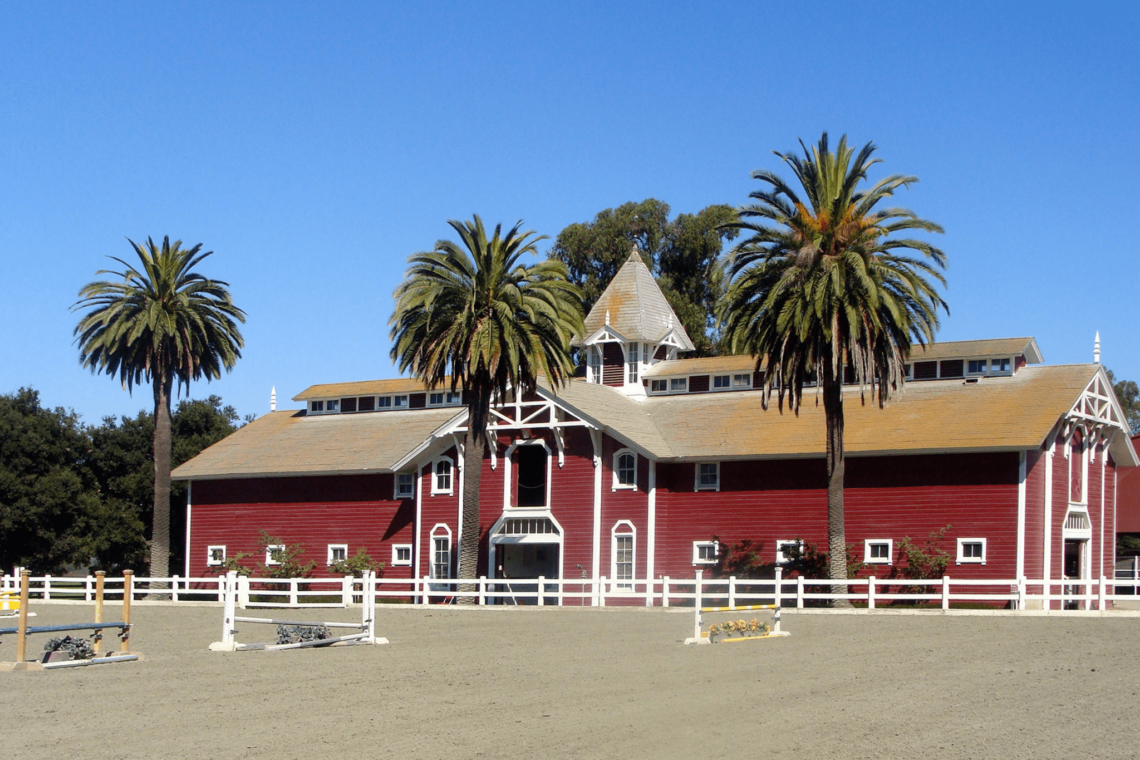 Horse Boarding 101 (What it Costs, Types, FAQs) Horse Rookie