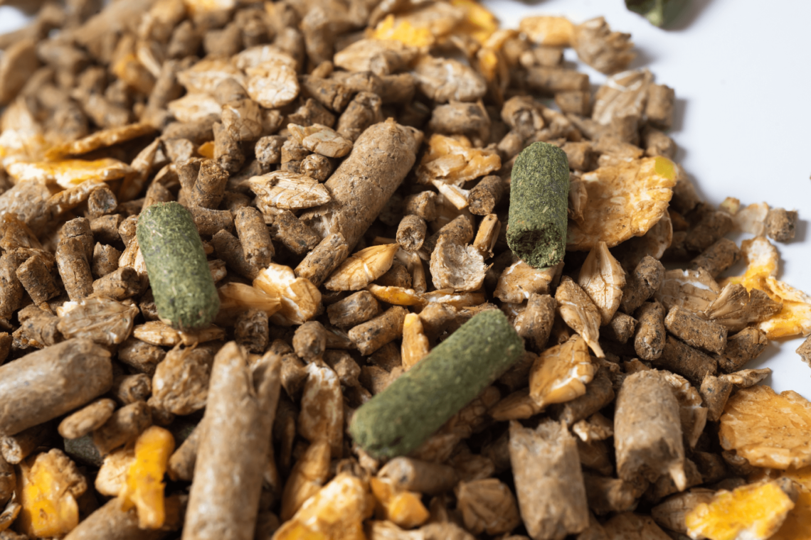 Sticker shock How much does it cost to feed a horse?