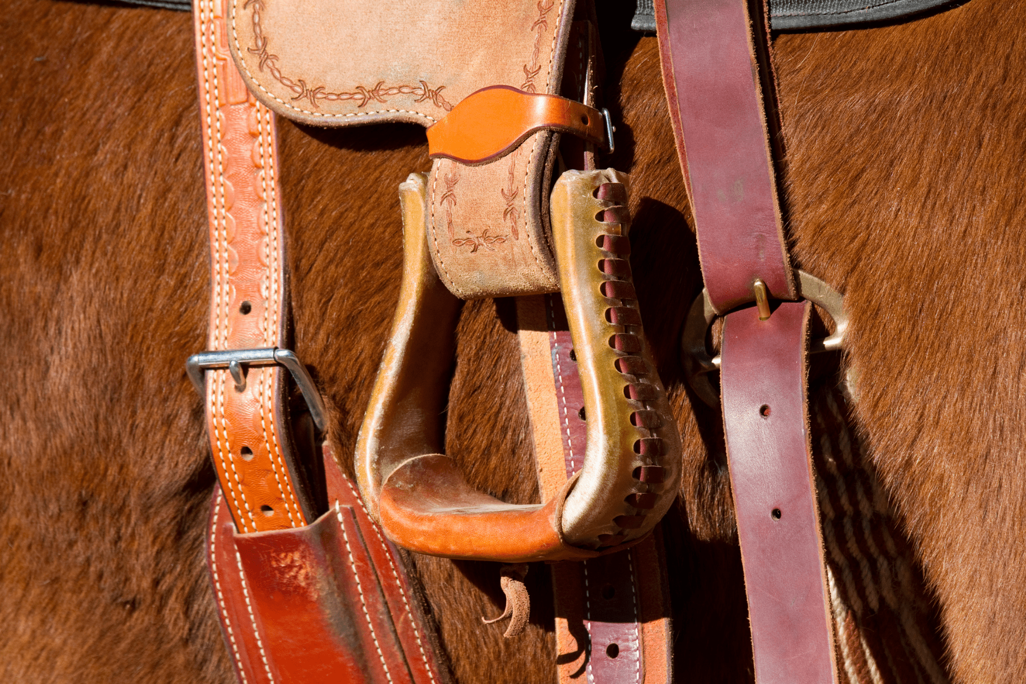 how-much-does-horse-tack-cost-english-western