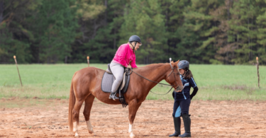 horse riding lesson