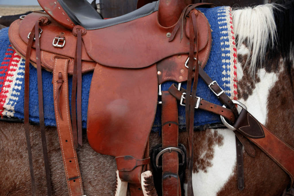 used saddle