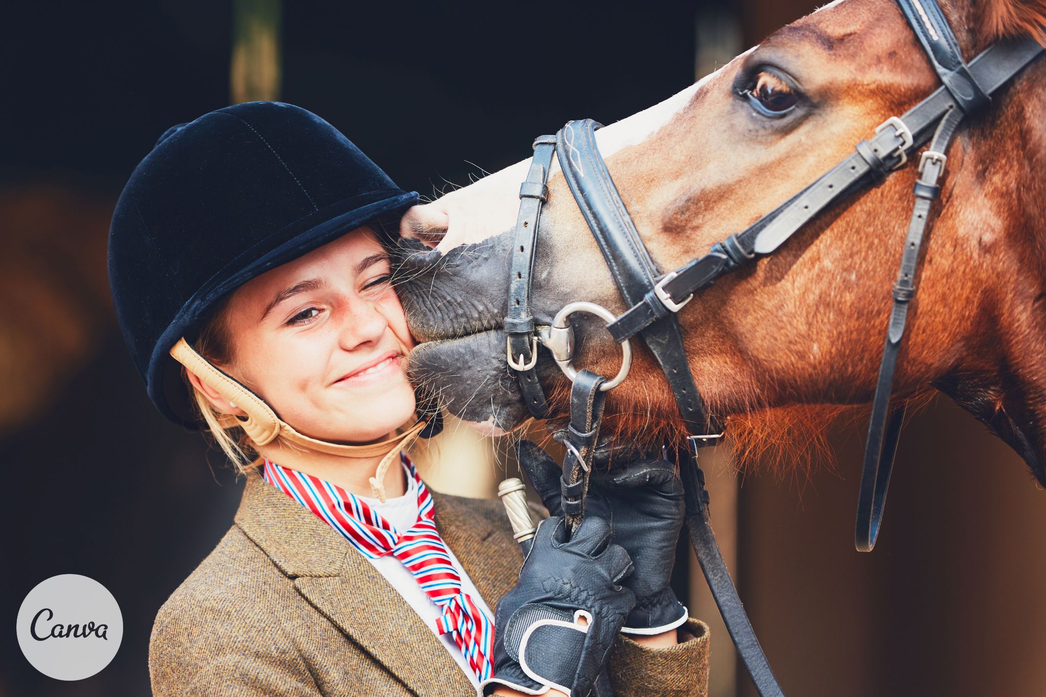 What it costs to buy a horse (and care for it!)