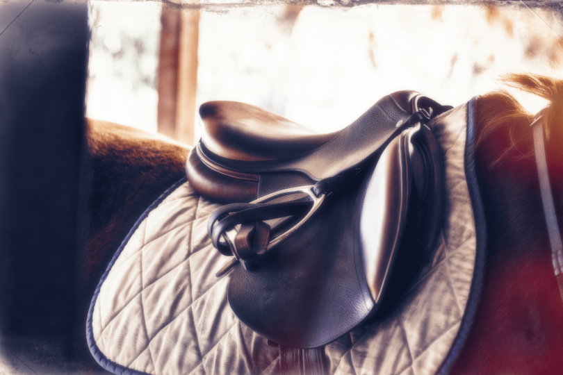 best english saddle for beginners