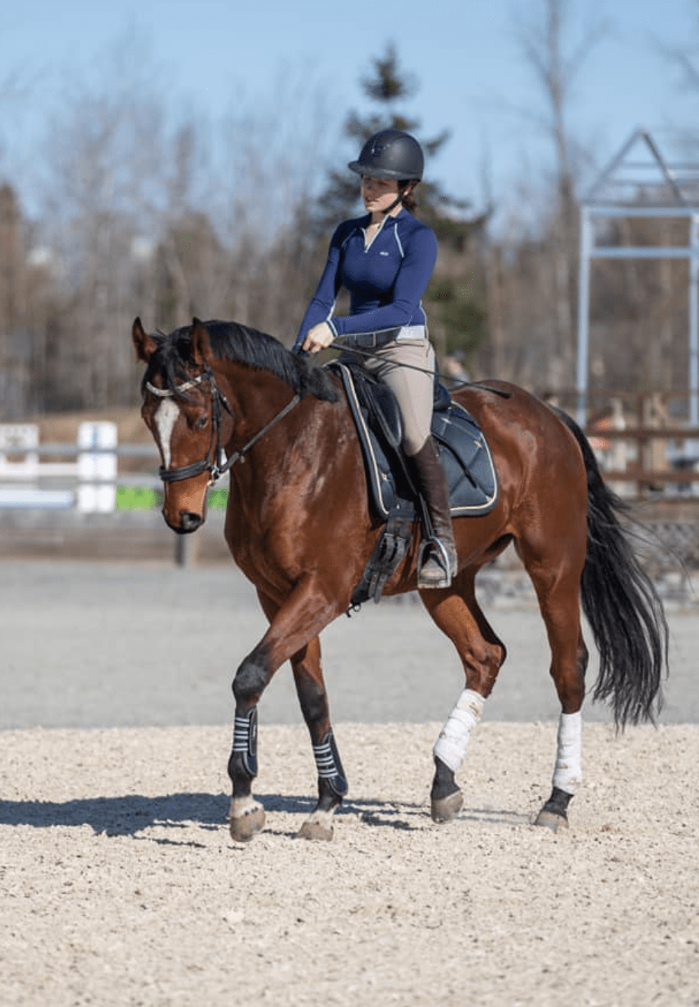 25 Tips To Take Your Show Jumping From Average To Awesome - Horse Rookie