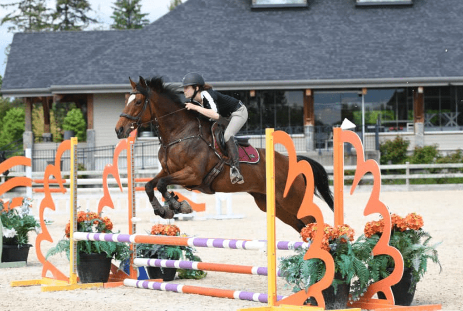 25 Tips to Take Your Show Jumping from Average to Awesome