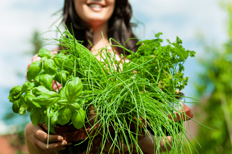 Which Herbs and Vegetables to Feed Your Horse (And Why)