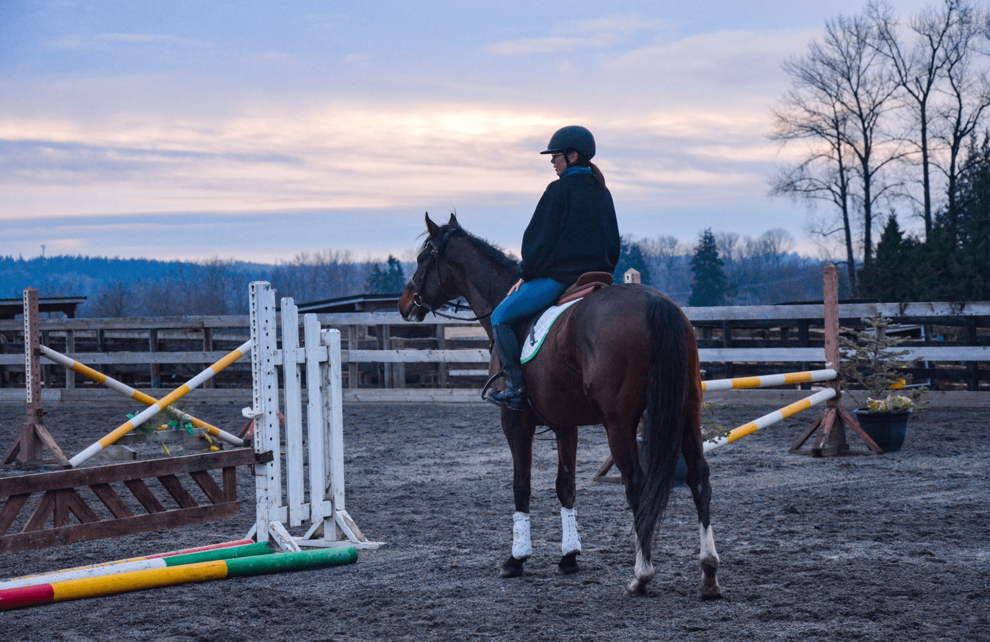 25 Tips to Take Your Show Jumping from Average to Awesome Horse Rookie