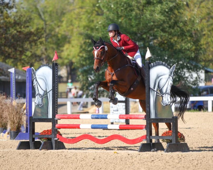 25 Tips to Take Your Show Jumping from Average to Awesome