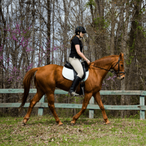 horse riding exercises