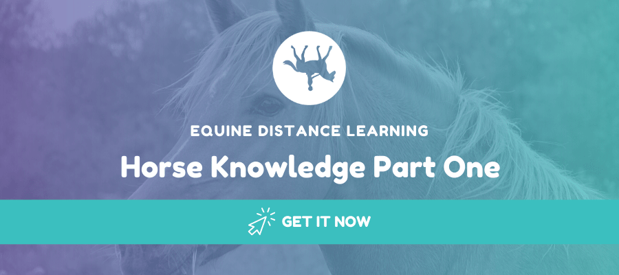 horse knowledge one