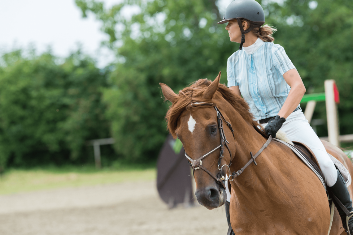 12 Best Horse Bits for Strong Scopey Jumpers Horse Rookie