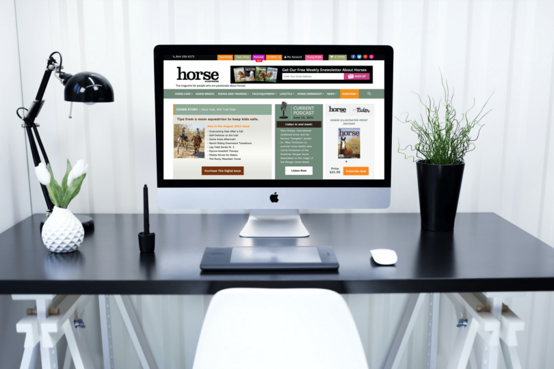best websites about horses