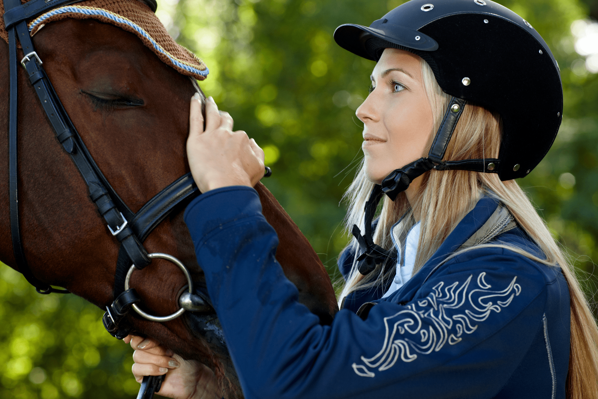 beautiful-horse-and-jockey-wallpaper-hd-widescreen-horses