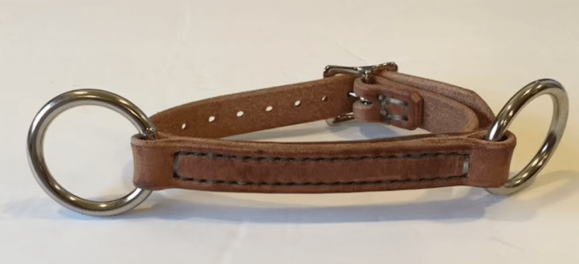 12 Best Horse Bits for Strong Scopey Jumpers Horse Rookie