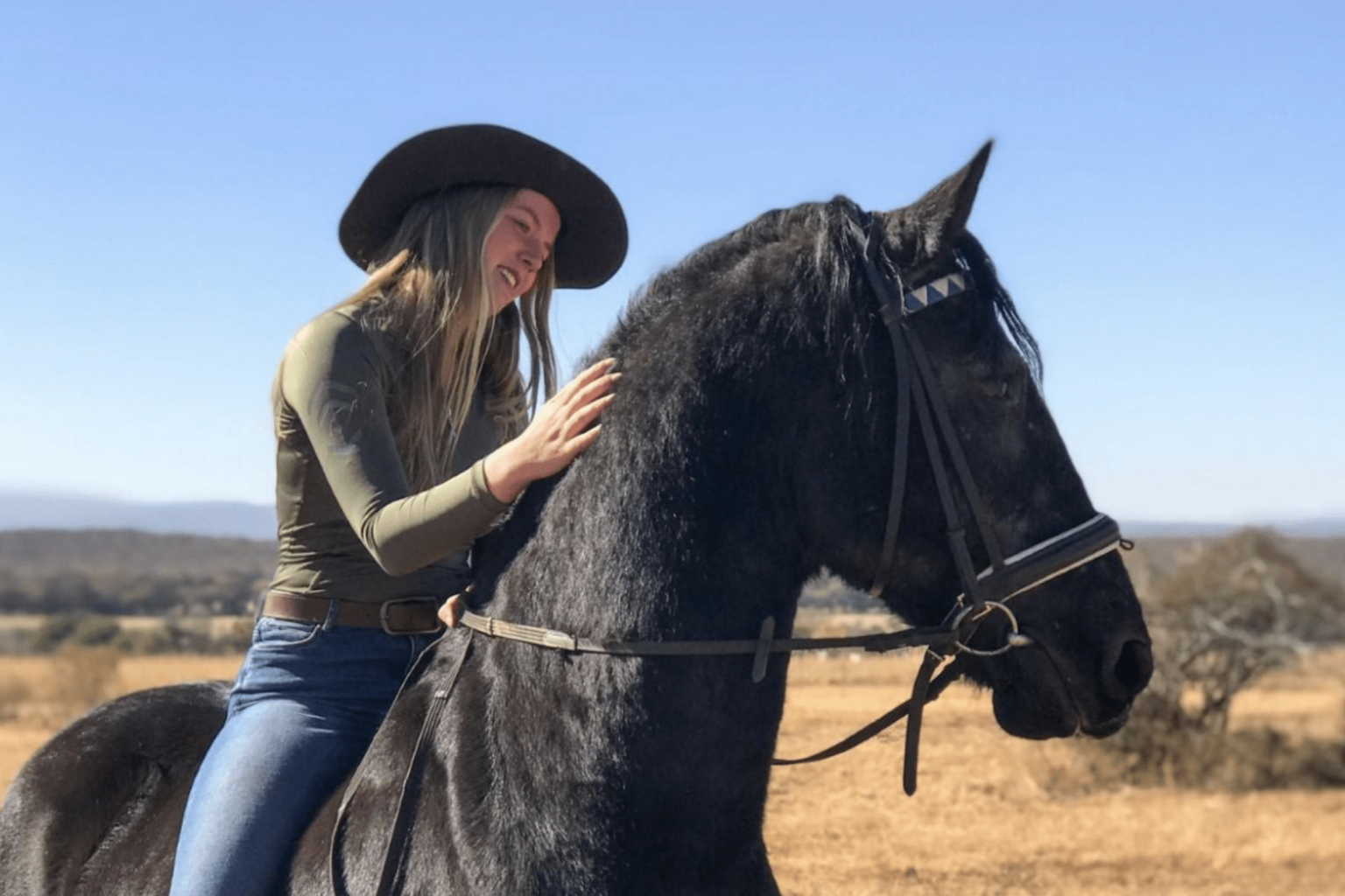 10 Best Horse Breeds for Trail Riding in Tranquility Horse Rookie