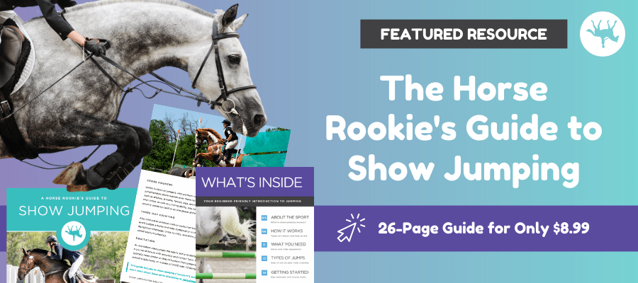 horse rookie guide to jumping