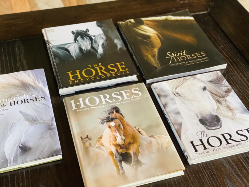 best horse coffee table books