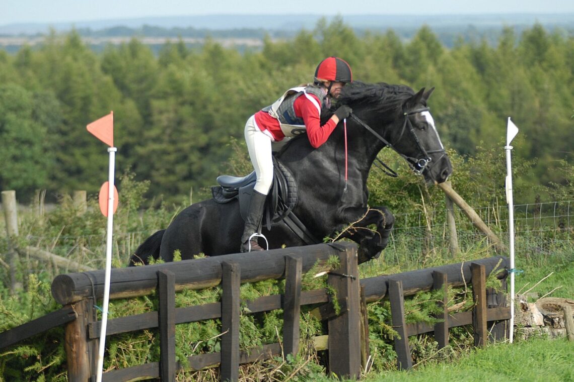 Real Talk How Much Does a Jumping Horse Cost?