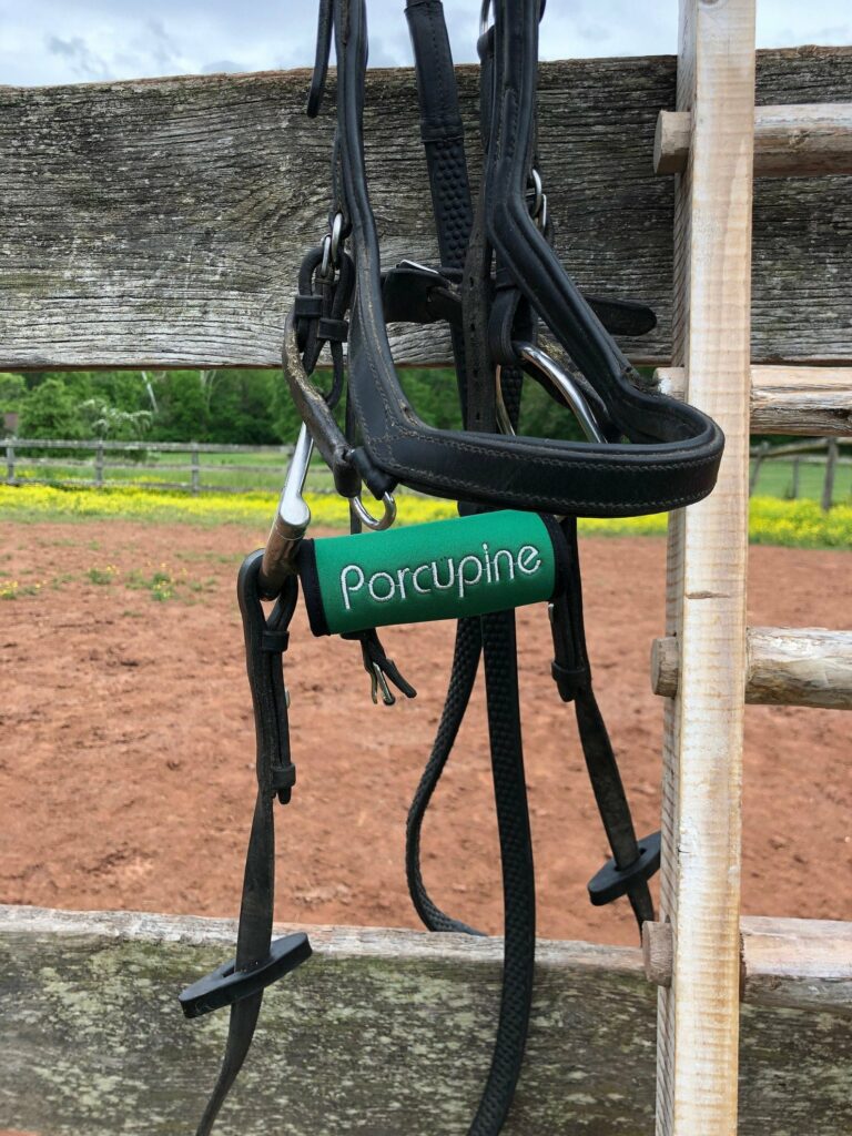 personalized horse bit cover