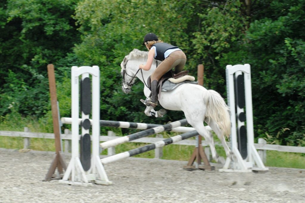 white horse jumping