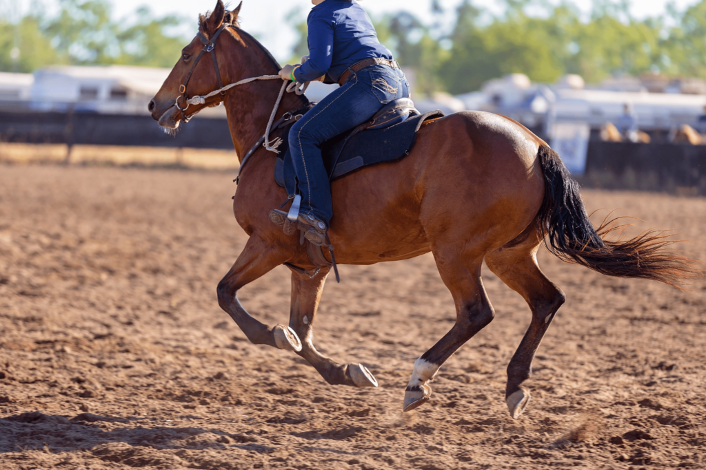 10 Best Jeans For Horse Riding In All Day Comfort