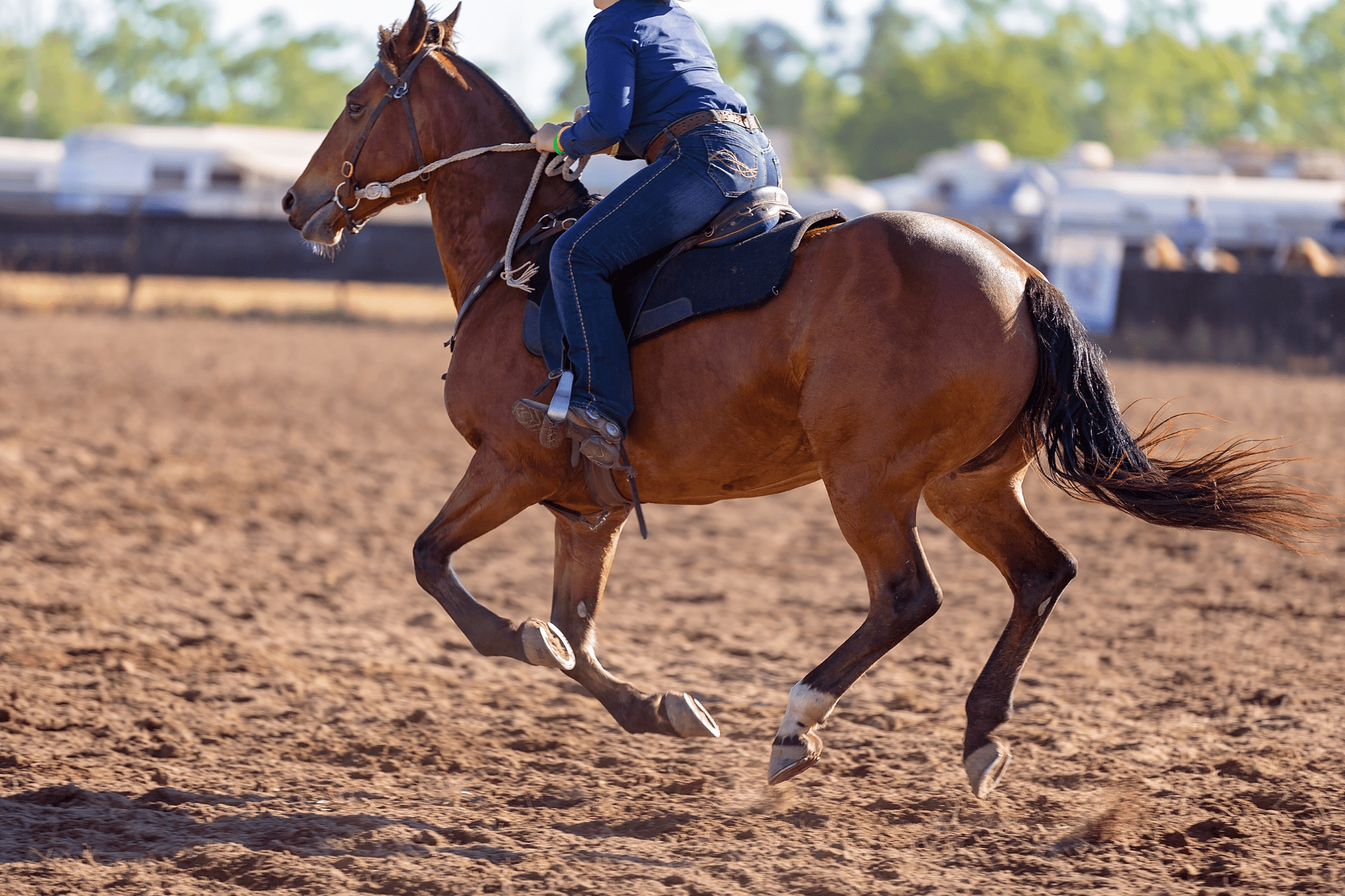 The best Jeans for Horse Riding