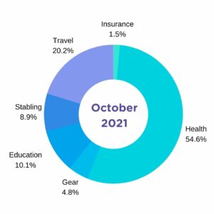 October-2021-Horse-Expense-Report-Chart-300x300.jpg
