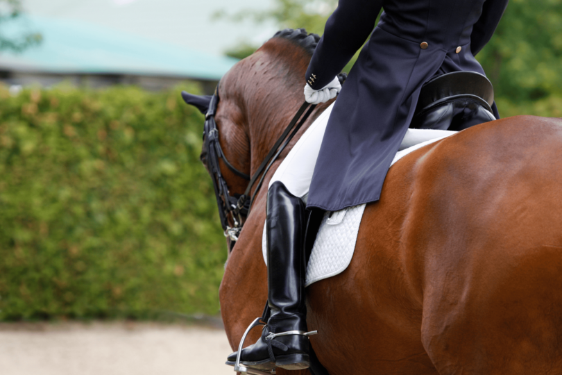 best dressage stirrups
