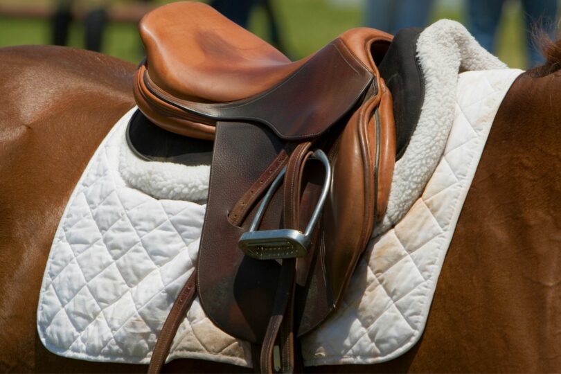 best nonslip saddle pads