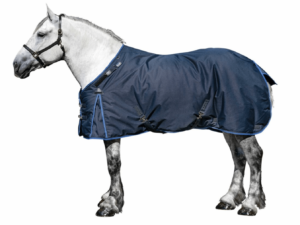 draft horse rain sheet