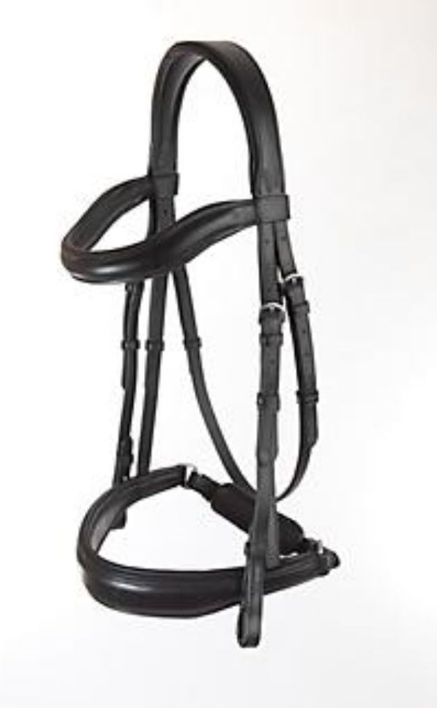 9 Best Dressage Bridles (Budget, Bling, Convertible)