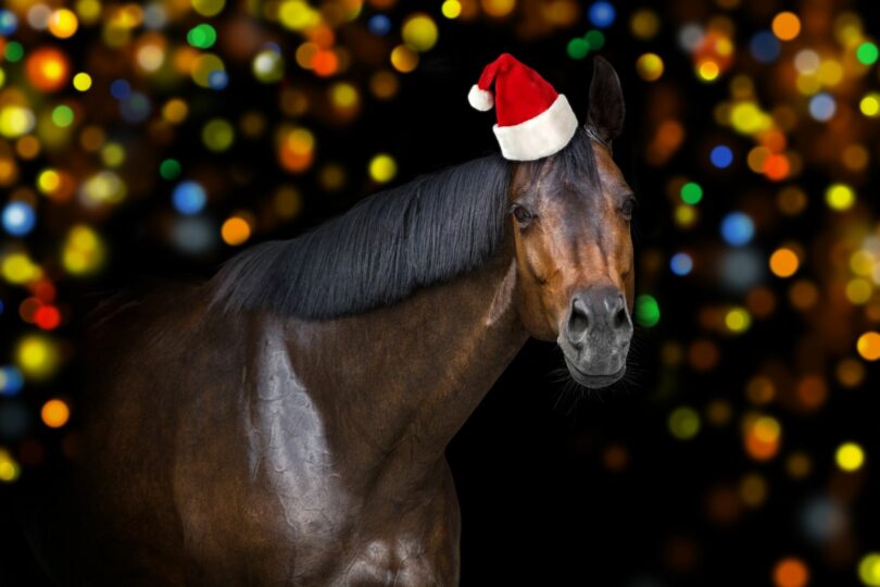 horse gifts christmas