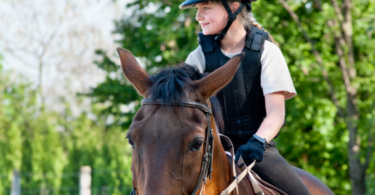 horse safety course
