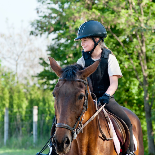horse safety course