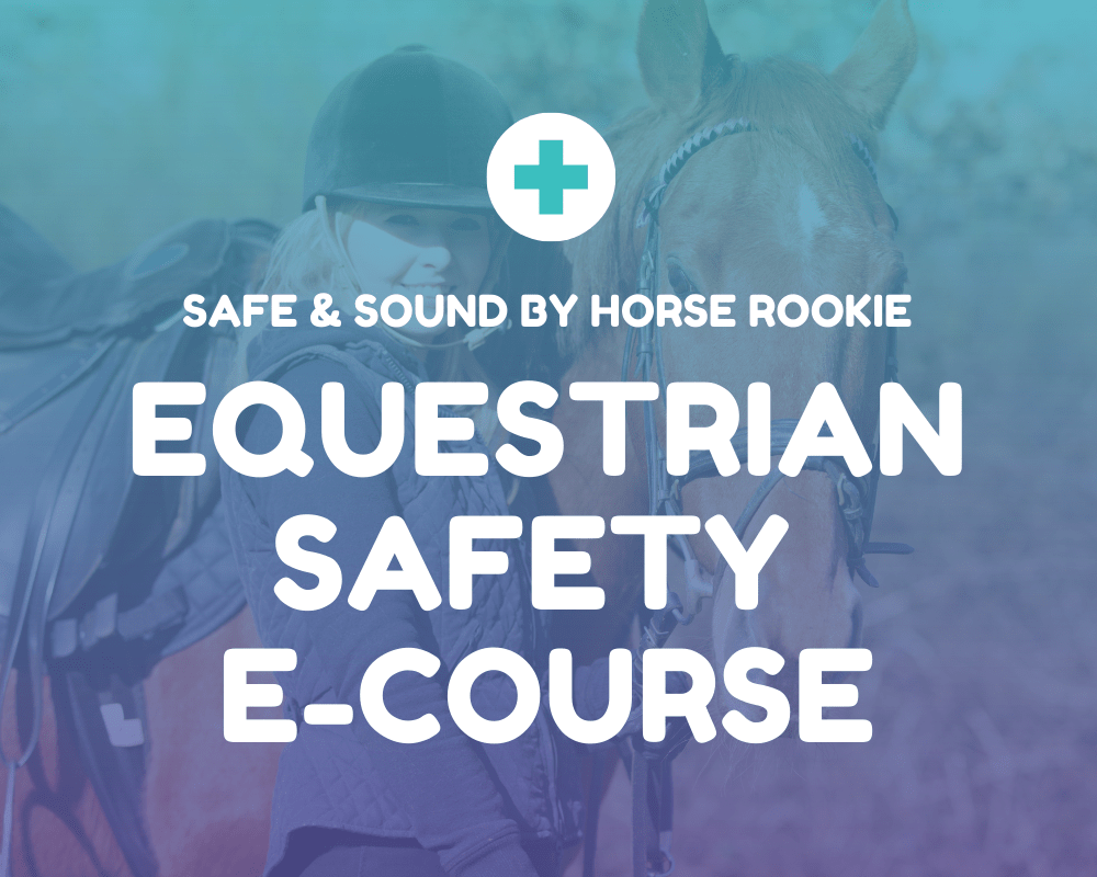 Speaking Horse: Translating Equine Vocalizations