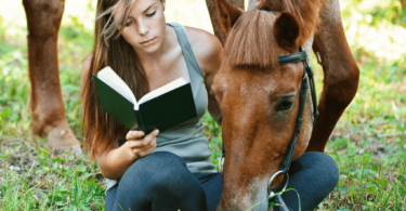 best ya horse books