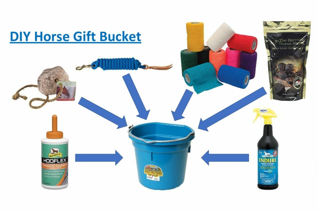 horse gift bucket