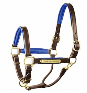 personalized leather halters