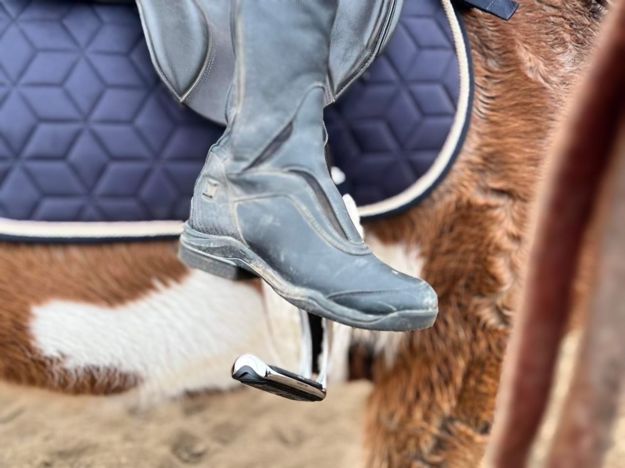 What's the Attraction Ophena Stirrups Review