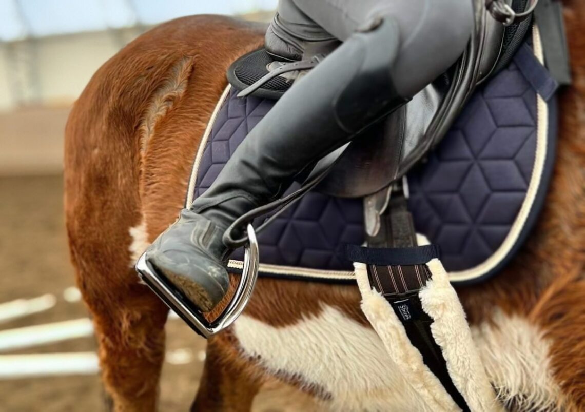 What's the Attraction Ophena Stirrups Review Horse Rookie