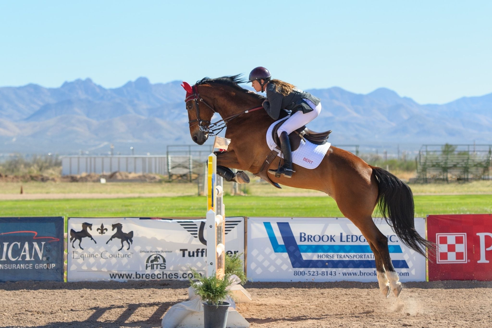 Jump Jargon A Simple Guide To Horse Jumping Terms