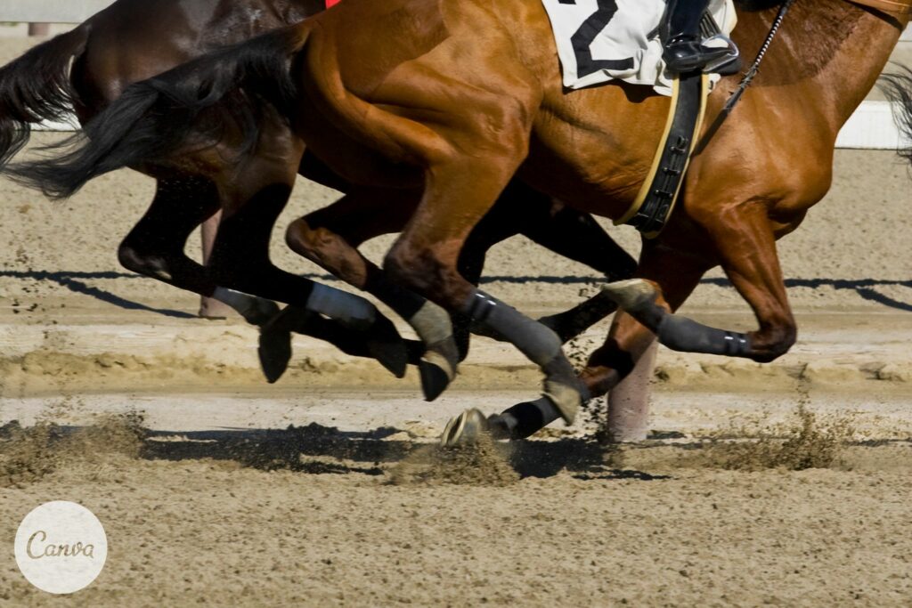 Horses racing