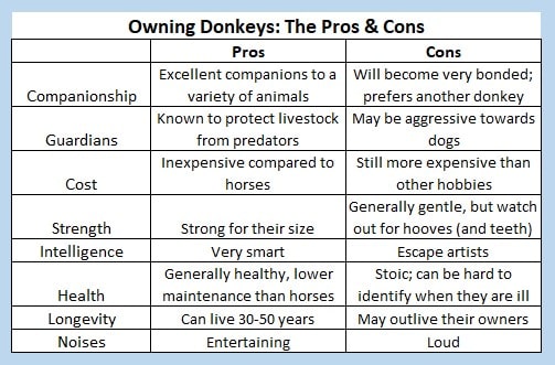 donkey pros and cons
