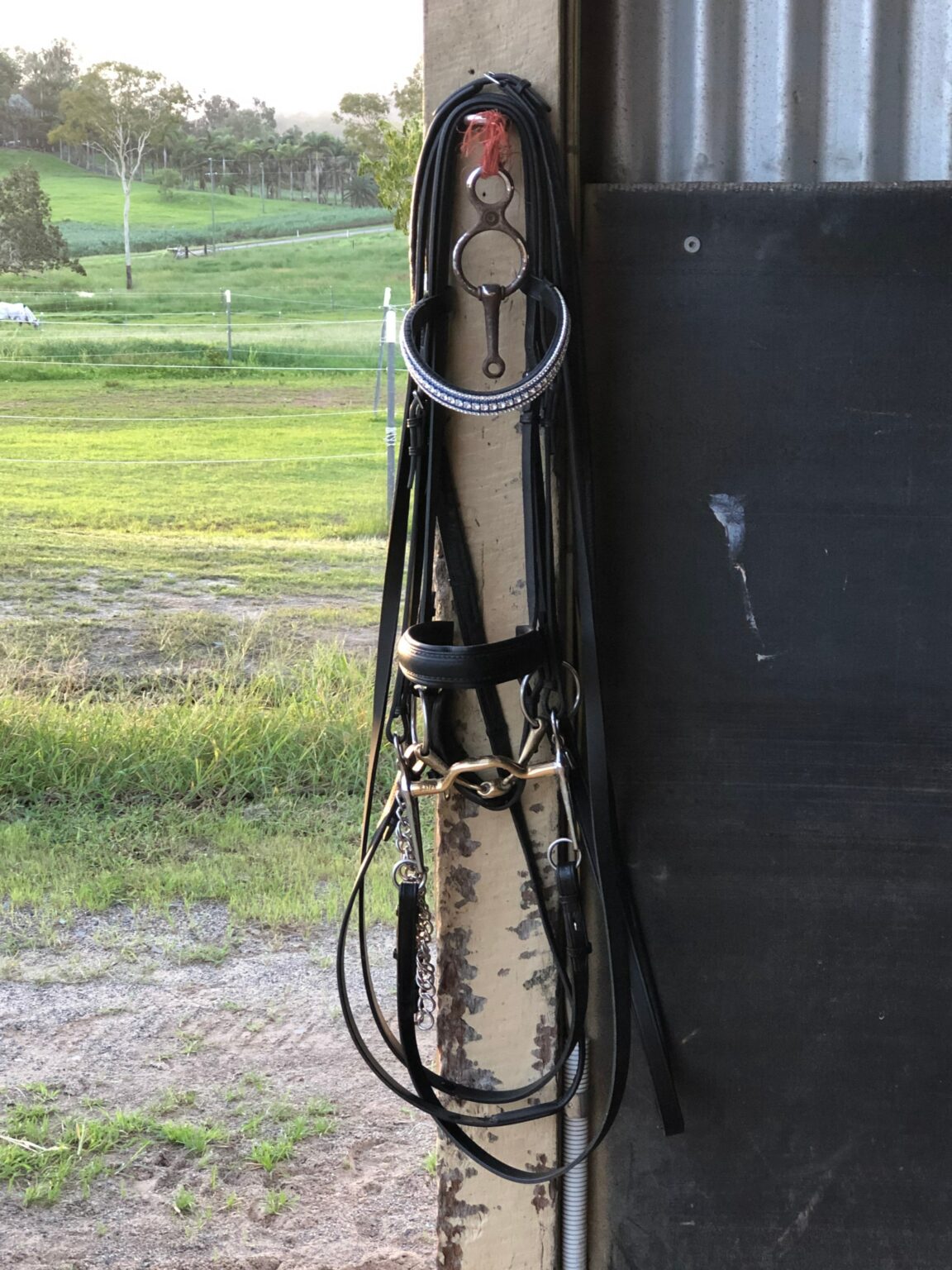 Equestrian Tip Why It's Worth Working On The Basics Horse Rookie