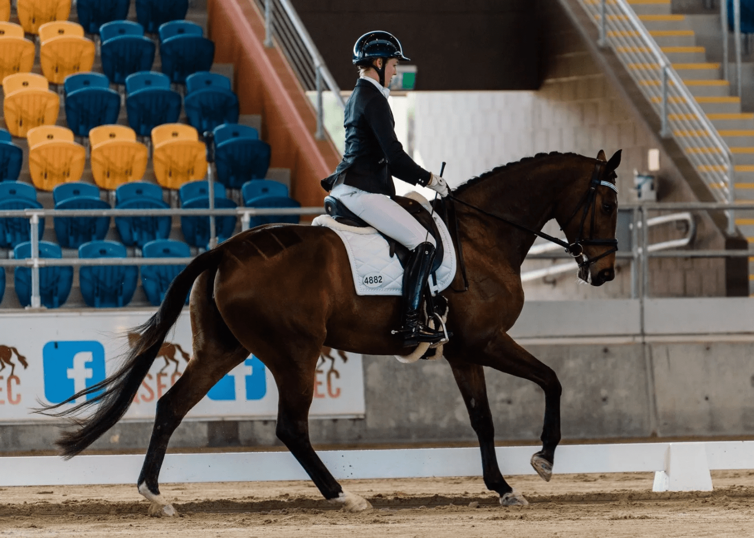 Five Tips To Help You Prepare For A Horse Show Horse Rookie