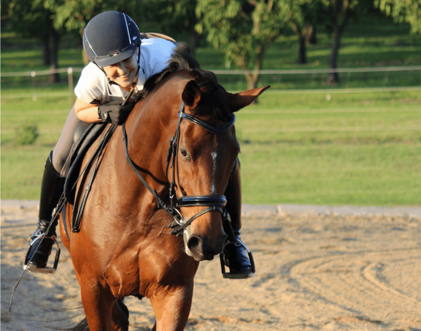 10 More Signs That You Are A True Equestrian Girl - Horse Rookie