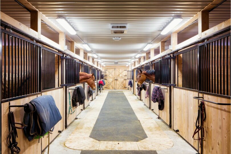 Clearn horse barn