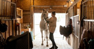 Horse care terminology