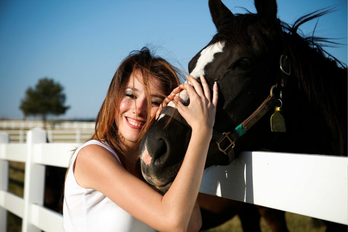 Free Horses For Sale Near Me The Ultimate Guide To Getting Your Dream Horse Without Spending A Dime - v1s1rif