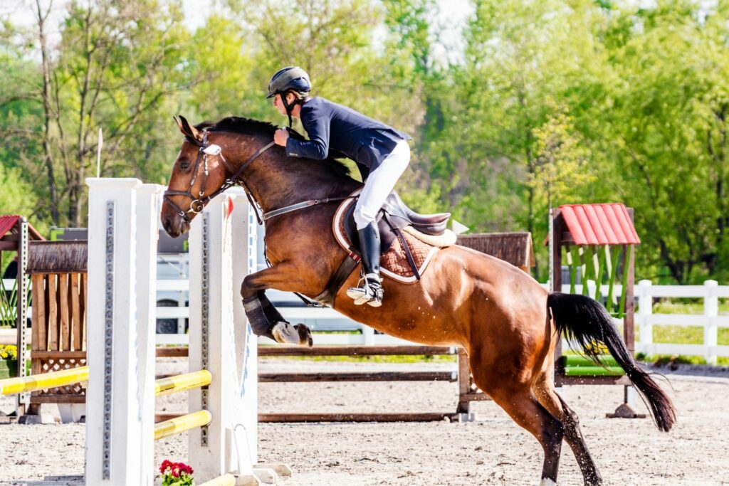 How to Set Up a Show Jump Course for Beginners Horse Rookie